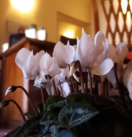Dimora Fra' Giovanni Relais Couette-café