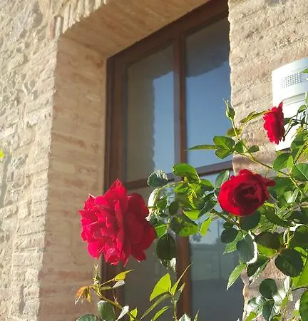 فندق مبيت وإفطار Dimora Fra' Giovanni Relais *