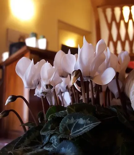 Dimora Fra' Giovanni Relais ベッド・アンド・ブレックファスト